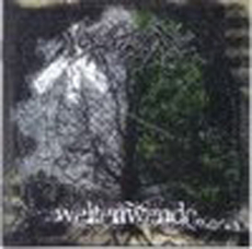 Nordglanz - Weltenwende