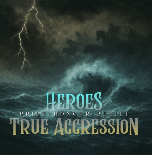 HEROES / TRUE AGGRESSION - PRIDE HONOUR BELIEF - LP